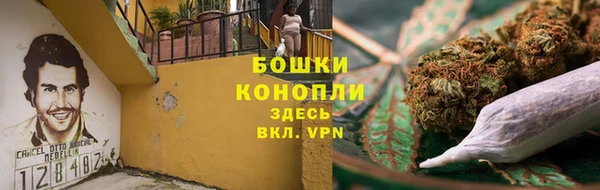 ешки Аркадак