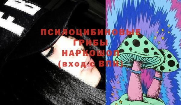 ешки Аркадак