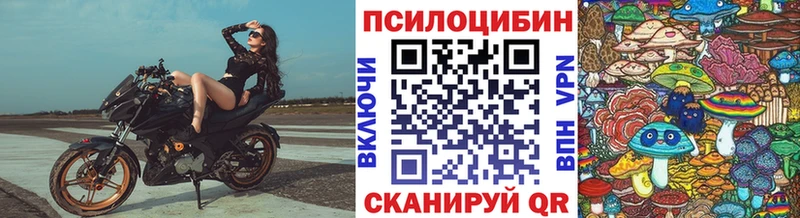 как найти закладки  Курск  ссылка на мегу ссылка  Псилоцибиновые грибы мицелий 