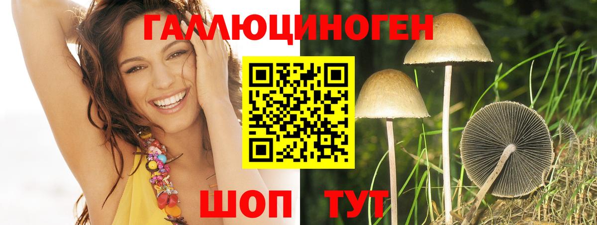 хочу наркоту  Псилоцибиновые грибы Magic Shrooms  Вход с VPN  Галлюциногенные грибы Cubensis  Курск 